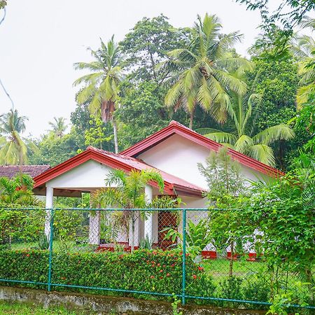 Villa Ravichini 폴로나루와 외부 사진