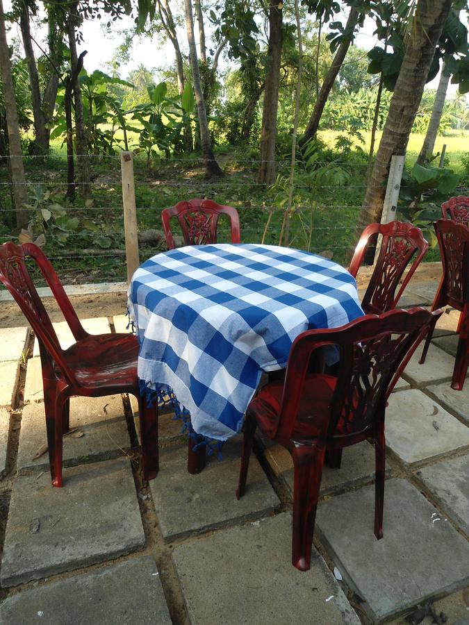 Villa Ravichini 폴로나루와 외부 사진